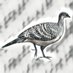 MF_MickE (@mf_micke) Twitter profile photo MF_MickE (@mf_micke) Twitter profile photo