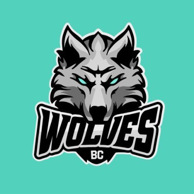 Official account of BC Wolves (Lithuania) 🏀