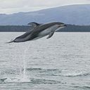 Cynthia Everett Baud - @baudoin245 - Twitter