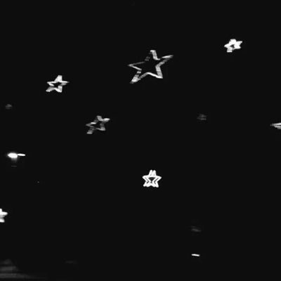 ccitysongbird's profile picture. 