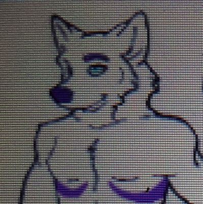 My name is Mystic I'm an Arctic snow wolf M straight 25 looking for more friends/Mate if possible