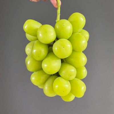 SUrsS8jyeHvtLRe's profile picture. 張り付く貯水葉が好きです。