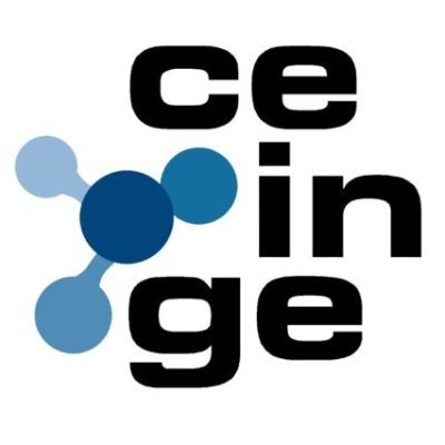 Ceinge Profile Picture