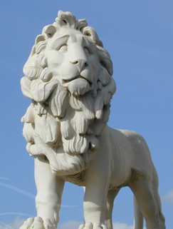 singaporejobsdb's profile picture. Get latest jobs in Singapore from here.
Finest Vacancy in Singapore from my tweet.