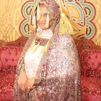 Safaa M U Adam (@safaamuadam) 's Twitter Profile