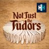 NotJustTudors's profile picture. Twice a week, Professor Suzannah Lipscomb hosts the Not Just the Tudors podcast from History Hit - not just the Tudors, but most definitely also the Tudors.