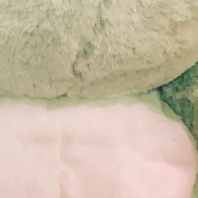 shell_Pail's profile picture. 20⇑ ‖ 夢 ‖ cp ‖ 腐 ‖ 自衛済 ‖ 壁打ち ‖ 雑多 ‖ 雑食