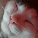 herder_code's profile picture. HGP Drop - Mar 30