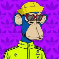 Sean Curlley (@curlleysean) 's Twitter Profile