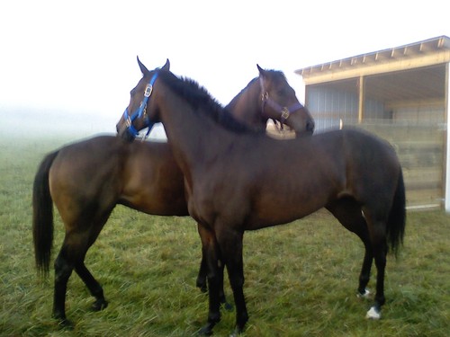 MzContractor's profile picture. Dedicated, hardworking woman with a drive and determination that gets me through