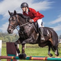 Alka Zhdevich (@azhdevich) 's Twitter Profile