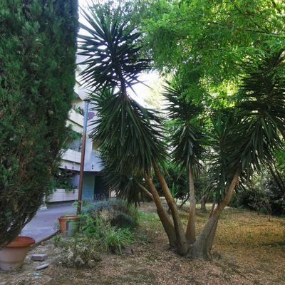 Nous sommes l'association des locataires de la Villa Hortus à Marseille, hlm. Nous nous mobilisons pour le bien-être de nos 250 résidents.