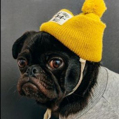 always bored Profile