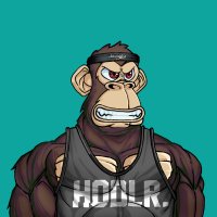Macschorle💪🏼🦍 (@macschorle_sagc) 's Twitter Profile