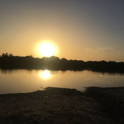 tatarabaa2's profile picture. 