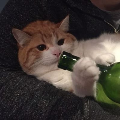 lalalai_poo's profile picture. gepepe