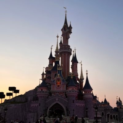 The next boss of Disney
And working on my roadmap to success and happiness