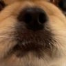 tenka_rb's profile picture. 