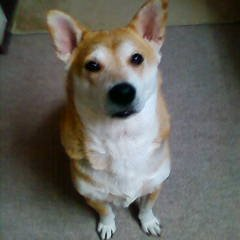 satonokaze87811's profile picture. ＜好き＞花・動物・音楽(１９８９年～Xファン歴３6年運命共同体)TLRS・EXTASY仲間・ミステリー小説・映画・ドラマ・珈琲・呟きは雑多です（面倒なのでアカウント分けてません） ＜苦手＞セロリ・説明書 ※会話のいいね・RP❌巻き込みリプ・DMでのフォローのご挨拶ご遠慮ください。