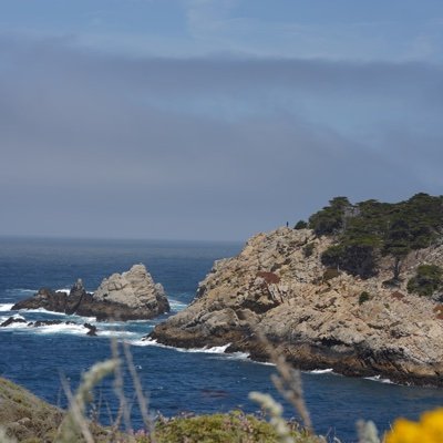 kaychhh's profile picture. 