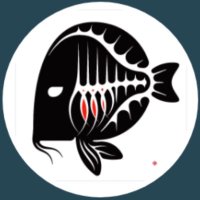 Blackfish.eth (@theblackfish00) 's Twitter Profile