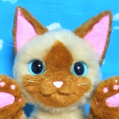 ぬい撮趣味アカ〉素人作アイルーをリアルオトモに日常中心🐾ジャンル問わず和み同趣味の方繋がりたいです😌
カプコン推🐾犬猫好→MHRS🐺🐈愛でのんびりプレイ
🎮もXもマイペ進行/リプ等定期整理/褒め言葉等ブクマへ→感謝✨/DM拒B/画像使用転載禁⚠️Don't use my pic🙇