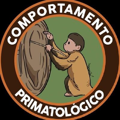 Bem vindos ao Canal Comportamento Primatológico! Sou Biólogo e mestre em ciências pelo programa de psicologia experimental da USP e divulgador científico!