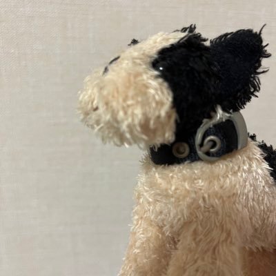 68回 3年目突入！血液凝固輸血頑張ってます🐶無言フォロー失礼します