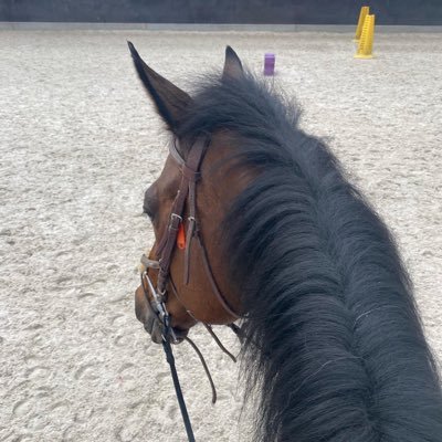 misscrystalehaw's profile picture. 