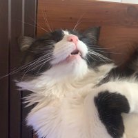 01 (@13libk) 's Twitter Profile