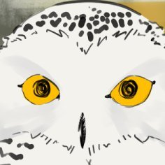 Shleaceさんのプロフィール画像