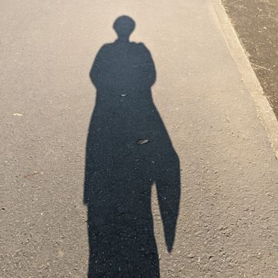 inunekohito's profile picture. 