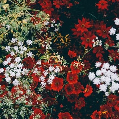 PhoenixFromTh11's profile picture. 💂Food advocate💂🎓 Proud web enthusiast🎓☹️ Total creator☹️🤦‍♂️ Explorer🤦‍♂️👩‍🦰 Beer practitioner👩‍🦰