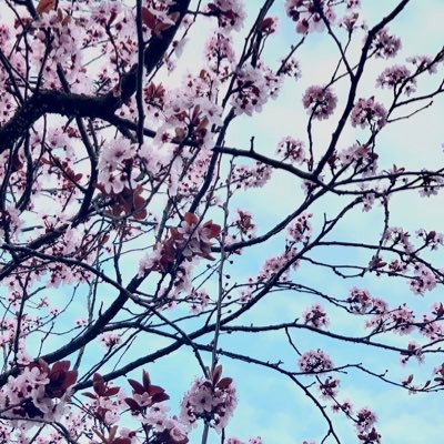 Ms_Varrichio's profile picture. Teaching Assistant at NSMS. Soon-to-be ELA certified. Already loving education.