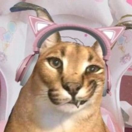 KaizenProtocol's profile picture. uwu