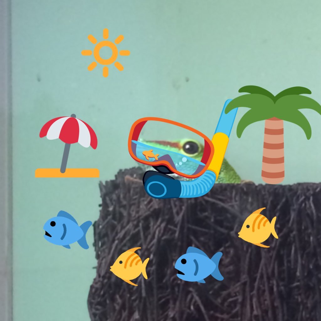 MATRA_USAGI's profile picture. 2023/12/31をもちまして、こちらでの活動を終了致しました。 ■作品の転載、自作発言、盗作、トレース(模写含)、無許可使用、加工等、全て厳禁。