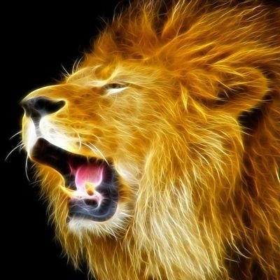 OnomahProsper's profile picture. Placing God first in all my doing