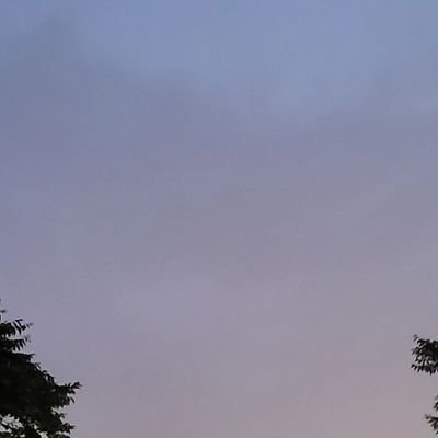 kkyug11's profile picture. 방귀똥녀