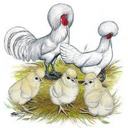 Marla Tyler Boggs - @turtlenamedsoup - Twitter