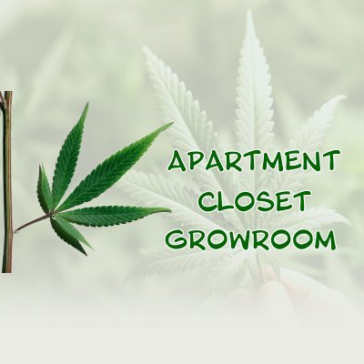 #CannabisCommunity

Working on my small indoor apartment closet grows.

Producing in a small 3' x 3' tent and a 2' x 2' tent.
Both in one closet!
