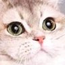 gerbacio89's profile picture. Mau