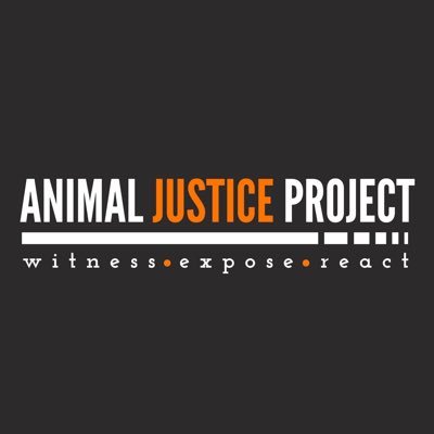 Animal Justice Project is a UK-based non-profit founded in December 2014 that campaigns for the end of animal farming.