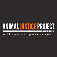 AnimalJusticeProject(@ajpReact) 's Twitter Profile Photo