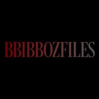 삐뽀즈(@bbzfiles) 's Twitter Profile Photo