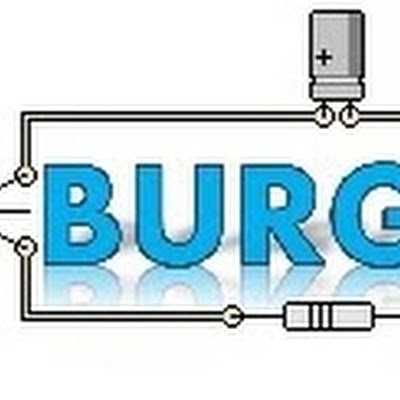 LuisBur06691437's profile picture. 