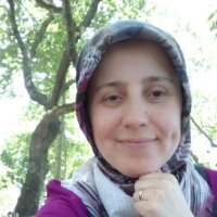 Hacer Eyrekci (@eyrekcihacer) 's Twitter Profile