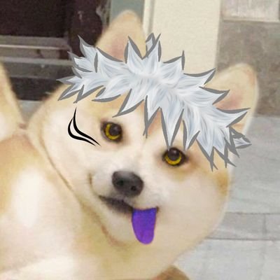 SHIRODOG| 白犬さんのプロフィール画像