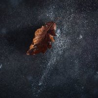 Revan (@revan32487922) 's Twitter Profile