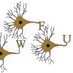 WfuNeuro (@neurowfu) Twitter profile photo WfuNeuro (@neurowfu) Twitter profile photo