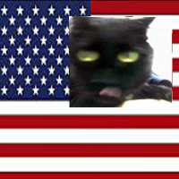 See Clearly 🇺🇸 A snooty little cutie (@annierrobins) 's Twitter Profile Photo See Clearly 🇺🇸 A snooty little cutie (@annierrobins) 's Twitter Profile Photo